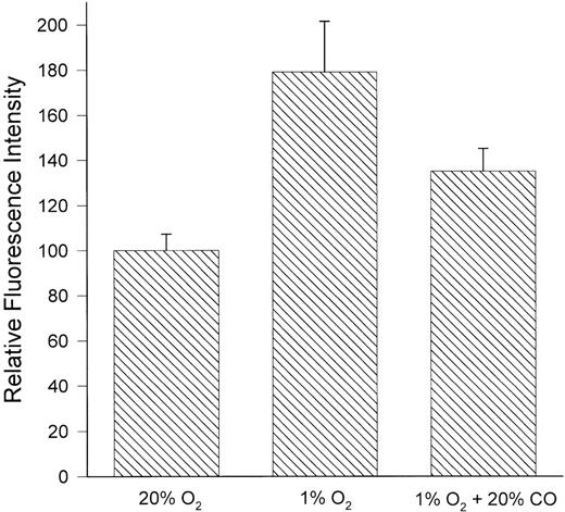 Fig. 5. Inhibition of hypoxia-induced uPAR expression by carbon monoxide. HTR-8/SVneo cells were incubated for 24 hours under standard (20% O2) or hypoxic (1% O2) conditions, or hypoxic conditions in the presence of 20% carbon monoxide. The expression of uPAR was then assessed by flow cytometry using MoAb 3937. Carbon monoxide inhibited the hypoxia-induced expression of uPAR by 56%. Data represent the mean ± standard error of four independent experiments.