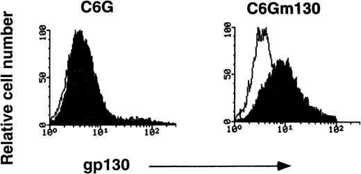 Fig. 1. Specific recognition of murine gp130 by MoAb RX19. C6G cells and their transfectants with murine gp130 cDNA (C6Gm130 cells) were used. Closed and open histograms show the staining with RX19 and control rat myeloma IgG2a, respectively.