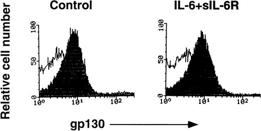 Fig. 2. Recognition of murine gp130 by MoAb RX19 was not inhibited by the complex of IL-6 and sIL-6R. Thymocytes from C57BL/6 mice (12-week-old female) were incubated in PBS, 5 mmol/L EDTA, PH7.2, 0.5% BSA, with or without a combination of IL-6 and sIL-6R at 37°C for 20 minutes, the cells were then stained with RX19 (closed histograms) or control rat myeloma IgG2a (open histograms).