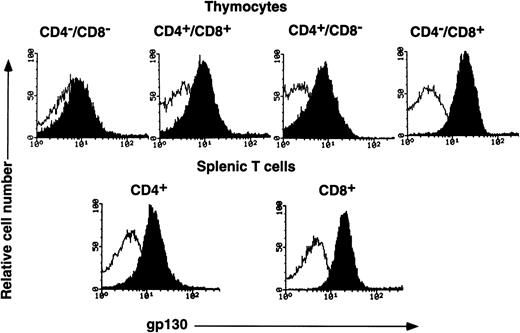 Fig. 3. FACS analysis of gp130 on thymocytes and splenic T cells from C57BL/6 mice. Freshly isolated thymocytes with CD4−/CD8−, CD4+/CD8+, CD4+/CD8−, or CD4−/CD8+ phenotypes and splenic CD4+ or CD8+ T cells from C57BL/6 mice (12-week-old female) were analyzed for gp130 expression. Closed and open histograms show the staining with RX19 and control rat myeloma IgG2a, respectively.