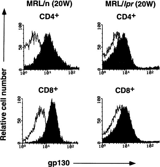 Fig. 4. FACS analysis of gp130 on thymocytes and splenic T cells in aged MRL/lpr and MRL/n. (A) and (C) Cells were prepared from aged MRL/lpr and MRL/n mice (20-week-old female) spleens. CD4+, CD8+, and Thy1.2+ cells were purified by MACS system, and gated by B220 expression. (B) Cells were prepared from thymus. The cells were then analyzed for gp130 expression. Closed and open histograms show staining with RX19 and control rat myeloma IgG2a, respectively.