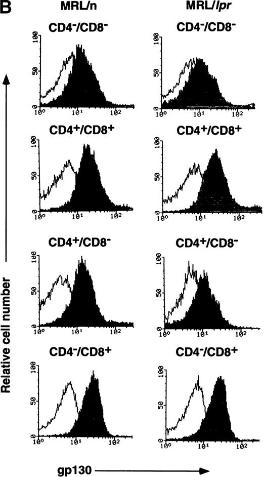 Fig. 4. FACS analysis of gp130 on thymocytes and splenic T cells in aged MRL/lpr and MRL/n. (A) and (C) Cells were prepared from aged MRL/lpr and MRL/n mice (20-week-old female) spleens. CD4+, CD8+, and Thy1.2+ cells were purified by MACS system, and gated by B220 expression. (B) Cells were prepared from thymus. The cells were then analyzed for gp130 expression. Closed and open histograms show staining with RX19 and control rat myeloma IgG2a, respectively.