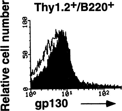 Fig. 4. FACS analysis of gp130 on thymocytes and splenic T cells in aged MRL/lpr and MRL/n. (A) and (C) Cells were prepared from aged MRL/lpr and MRL/n mice (20-week-old female) spleens. CD4+, CD8+, and Thy1.2+ cells were purified by MACS system, and gated by B220 expression. (B) Cells were prepared from thymus. The cells were then analyzed for gp130 expression. Closed and open histograms show staining with RX19 and control rat myeloma IgG2a, respectively.