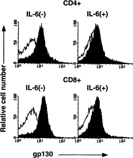 Fig. 6. FACS analysis of gp130 on cultured CD4+ and CD8+ cells. Purified CD4+ and CD8+ cells from C57BL/6 spleen (12-week-old female) were cultured in RPMI 1640 medium supplemented with or without IL-6 (10 ng/mL) for 2 days. The cells were then analyzed for gp130 expression. Closed and open histograms show the staining with RX19 and control rat myeloma IgG2a, respectively.