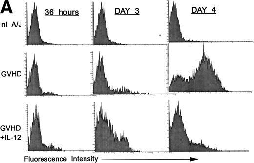 Fig. 2. Increased expression of CD25 and CD69 on donor CD4+ T cells at 36 hours and on day 3 in spleens of IL-12–protected mice. Lethally irradiated B6 mice received A/J BMC and spleen cells plus TCD B6 BMC with or without IL-12 on day 0. Spleen cells were analyzed by three-color FCM to determine percentages of CD4+ Dd+ donor cells expressing CD25 (A) and CD69 (B). Similar results were obtained from six mice per group at each time point in two independent experiments.