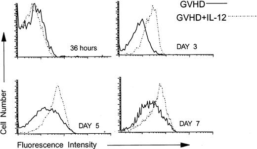 Fig. 4. Upregulation of Fas on donor CD4 cells in IL-12–protected mice. Lethally irradiated B6 mice received A/J BMC and spleen cells plus TCD B6 BMC without or with IL-12 on day 0. At 36 hours and on days 3, 5, and 7 post-BMT, spleen cells were analyzed by three-color FCM to examine the expression of Fas on 5F1-negative, ie, donor CD4+ cells. Solid lines represent the Fas density on donor CD4 cells recovered from spleens of GVHD mice and dotted lines represent Fas expression on splenic donor CD4 cells recovered from IL-12–protected mice. Similar results were obtained from six mice per group at each time point in three independent experiments.