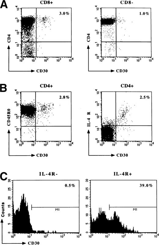 Fig. 1. Detection and characterization by flow cytometry of CD30+ T cells in postnatal thymus. Freshly isolated thymic MNC were resuspended in PBS containing 0.5% BSA and 0.02% sodium azide at the concentration of 1 × 106 cells/mL. Cells were then assessed for CD30, CD4, and CD8 expression (A), as well as for CD30, CD45RO, and IL-4R expression (B) by three-color flow cytometry. IL-4R+ were then separated from IL-4R− thymocytes by incubation of thymic MNC with biotin-conjugated anti–IL-4R MoAb, followed by addition of streptavidin-coated MACS colloidal supermagnetic microbeads, and the two subsets were then assessed for CD30 expression (C). A representative experiment is shown.