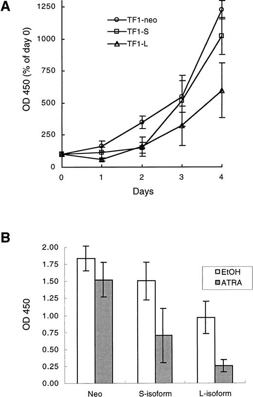 Fig. 3. (A) Growth curves of TF1-neo, TF1-S, and TF1-L clones. Cells were plated at 7 × 104 cells/mL in 96-well plates in complete medium (GM-CSF at 5 ng/mL). Viable cell number was determined daily using a colorimetric assay (see Materials and Methods) with the day 0 value set at 100%. The results are the averages (±SEM) of values for 3 TF1-neo, 6 TF1-S, and 5 TF1-L clones. (B) Growth inhibition in response to ATRA. Cells were plated in 96-well plates at 5,000 cells/well in 100 μL of complete medium, and cultured for 96 hours in the presence of ATRA (10−6 mol/L) or an equal volume of vehicle control (ethanol, EtOH). Viable cell number at 96 hours was quantitated as in (A). The final plotted value is the average (±SEM) for 4 TF1-neo, 9 TF1-S, and 8 TF1-L clones.