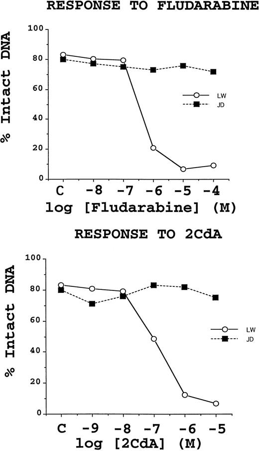 Fig. 3. Representative examples of chemoresistant and chemosensitive B-CLL specimens. TUNEL data, expressed as a percentage of cells with intact DNA (ie, TUNEL negative), shown for two B-CLL specimens, which are representative of the chemoresistant (▪) and chemosensitive (○) phenotypes. B-CLLs were cultured with the indicated concentrations of fludarabine or 2-CdA for 3 days before TUNEL/flow cytometric analysis was performed. Note that the rates of spontaneous apoptosis for these 2 B-CLL specimens were about 20%.