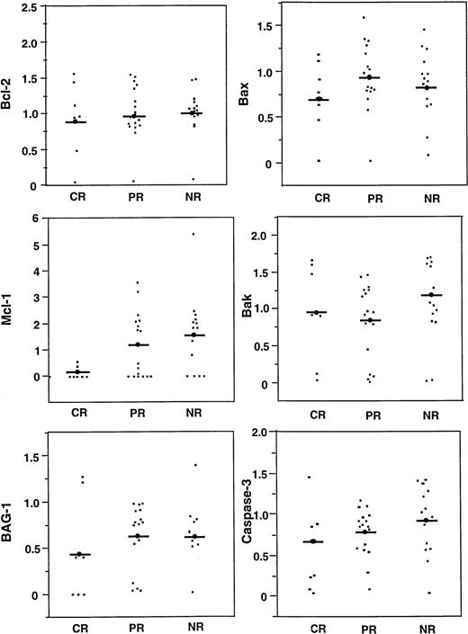 Fig. 7. Comparisons of apoptosis-regulating proteins with clinical response. Relative levels of Bcl-2, Mcl-1, BAG-1, Bax, Bak, and Caspase-3 (CPP32) was compared for B-CLL patients who achieved CR or PR, or who had no responses or progressed while on therapy (NR). Bars = mean scores.