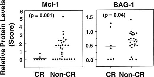 Fig. 8. Association of higher Mcl-1 and higher BAG-1 protein levels with failure to achieve CR. Dot histograms compare Mcl-1 (left) with BAG-1 (right) protein levels for patients who attained a CR versus those who did not (NR, PR, or progression). Bars = mean immunoblot scores. P values are indicated (logistic regression).