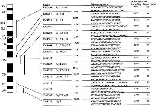 Fig. 1. Primarsequence and cytogenetic location of 16 microsatellite markers used in the study. The distance in centimorgans between the markers is indicated. The PCR conditions included denaturation in 95° for 5 minutes. Denaturation temperature was always 94°C for 30 to 60 seconds. Annealing time was 30°C and the temperature is shown for every microsatelite marker. Elongation temperature was 72°C for 30 to 40 seconds. The number of cycles is shown for every marker. Amplification was always concluded with 10-minute final extension at 72°C. Marker D6S15433 and D6S1709, located between D6S468 and D6S283, and marker D6S434 and D6S1028, located between D6S283 and D6S301, are not shown in the figure.
