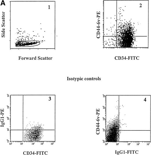 Fig. 3. Cell-surface expression of CD44-3v, -6v, and -9v containing isoforms on normal myeloid cells. (A) Expression of CD44-6v on CD34+ cells. CD34+ cells were isolated from normal BM by specific immunoadsorption, as described in Materials and Methods. Histogram 1 defines the morphologic gate. Cells were double-stained with the anti-6v MoAb VFF18 plus GAM-PE and FITC-conjugated HPCA-2 MoAb directed to CD34 (histogram 2). Quadrant limits defining positivity and negativity have been set up using cells labeled with PE-conjugated and FITC-conjugated control antibodies (histograms 3 and 4), as described in Materials and Methods. Adjustment of the crossover fluorescence was obtained by compensation of the two single-stained samples to limit superposition of the fluorochrome emission spectra. (B) CD34+ cells and monocytic cells. CD34+ cells, very immature hematopoietic cells; MP, monocytic precursors (CD34neg, CD14+ BM cells); Mature monocytes, circulating CD14+ cells. Mature monocytes from PB were identified according to their forward angle and side scatter.37 CD34+ cells and MP were double-stained with (1) an FITC-conjugated MoAb directed to CD34, which defines very immature hematopoietic cells, and CD14, a monocyte-specific antigen, respectively and (2) MoAbs directed at CD44-3v (BBA11), -6v (VFF-18), and -9v (11-24), plus PE-conjugated goat anti-mouse IgG. Negative controls (gray lines) were cells labeled with FITC and PE-conjugated isotype-matched control antibodies. Flow cytometric analysis was performed as described in Materials and Methods. Four independent experiments gave similar results. HPC were negative for CD44-3v and CD44-9v proteins.
