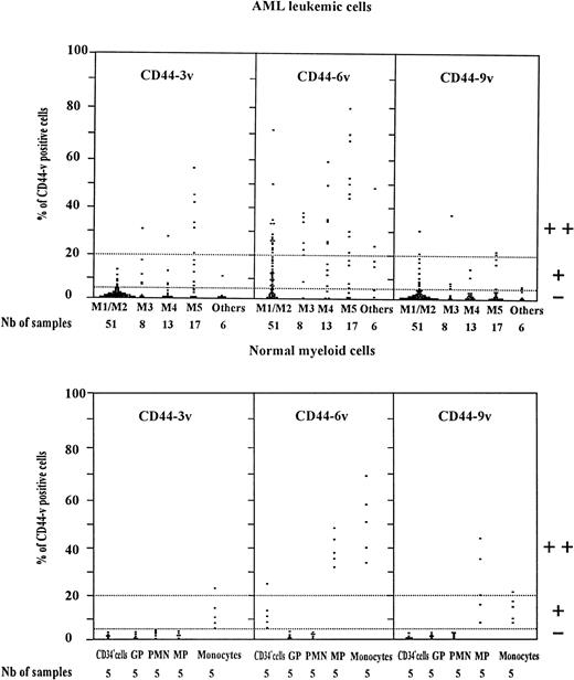 Fig. 4. Scatter plot of CD44v protein expression on AML leukemic cells and normal myeloid cells. Normal myeloid cells: CD34+ cells (very immature BM hematopoietic cells). GP, granulocytic precursors (CD34−, CD15+ BM cells); PMN, polymorphonuclear cells; MP, monocytic precursors (CD34neg, CD14+ BM cells); Monocytes: mature monocytes (circulating CD14+ cells). AML leukemic cells from AML patients with the following FAB types.3435 M1/M2, myeloblastic AML; M3, promyelocytic AML; M4, myelomonocytic AML; M5, monoblastic AML. CD34+ cells, GP, and MP were identified by double-staining with (1) an FITC-conjugated MoAb directed to CD34, CD15 for GP and CD14 for MP, respectively, (2) unconjugated MoAbs directed to variant epitopes 3v, 6v, and 9v plus PE-goat anti-mouse (PE-GAM). Leukemic cells were identified by specific electronic gating.37 Flow cytometric analysis was performed as described in Materials and Methods. The staining intensity of variant CD44 isoforms was evaluated by measuring the percentage of labeled cells over the background (cells incubated with isotype-matched control antibodies). Each symbol (▪) refers to the percent CD44v cells per patient. Expression of CD44v was considered as negative (−) when less than 5% of the cells were labeled, low (+) when 5% to less than 20% of cells were labeled, and high (++) when more than 20% of the cells were CD44v+.