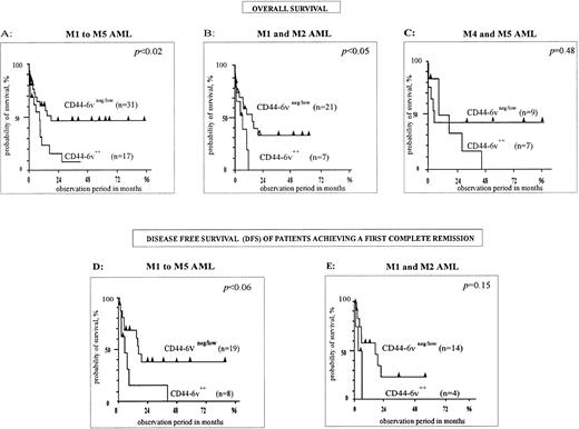 Fig. 5. Correlation of CD44-6v isoform expression with survival of AML patients. Survival curves of AML patients according to the expression of CD44-6v on leukemic cells at diagnosis, have been computed using the Kaplan-Meier method.38 Statistical comparisons between curves were based on log-rank tests. (A, B, and C) Overall survival curves of AML patients treated by conventional chemotherapy36 (anthracyclin plus cytosin arabinosine). (D and E) Disease-free survival curves of AML patients induced in complete remission by conventional chemotherapy. M1/M2, myeloblastic AML; M4, myelomonocytic AML; M5, monoblastic AML. Significant numbers have been obtained by grouping M4 and M5 patients for overall survival, but not for disease-free survival analysis.