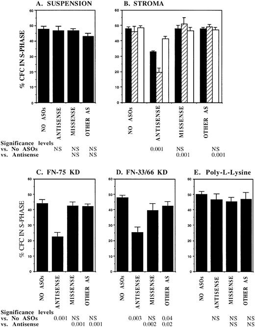 Fig. 2. Anti–BCR-ABL AS-ODNs restore inhibition of CML CFC proliferation after coculture with stroma or FN. A total of 10,000 DR+ cells were incubated in serum-free medium for 96 hours with or without addition of breakpoint-specific and control ODNs. After incubation, cells were either kept in suspension (A) or cocultured with stroma (B); FN 75-kD (C); FN 33-66-kD (D); or poly-L-lysine (E) coated wells for 4 hours, after which proliferation was evaluated using thymidine suicide assays as described in the text. For stroma (B), results for adherent (hatched bars), nonadherent (open bars), and total (adherent + nonadherent) cells (solid bars) are shown separately. The significance values in (B) represent differences in proliferation of total (adherent + nonadherent) cells. Results represent the mean ± SEM for six separate experiments.