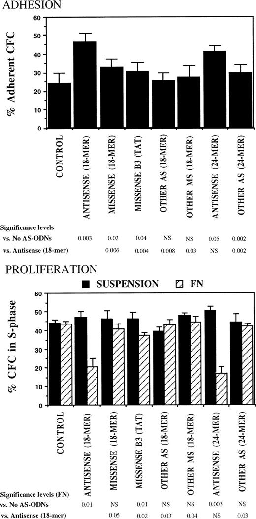 Fig. 4. Anti–BCR-ABL AS-ODNs restore CML CFC adhesion to and proliferation inhibition by fibronectin significantly more than control ODNs. A total of 10,000 DR+ cells were incubated in serum-free medium for 96 hours with or without addition of breakpoint-specific and control ODNs. After incubation, cells were either kept in suspension or were cocultured with FN substrates, and their adhesion and proliferation were evaluated as described in the text. Results represent the mean ± SEM for four separate experiments.