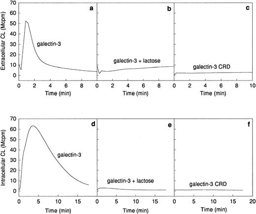 Fig. 5. Galectin-3–induced activation of the NADPH-oxidase in in vitro primed neutrophils. The figure shows the time courses of the CL responses in primed neutrophils (106 cells) induced by galectin-3 (20 μg/mL; a and d), galectin-3 in the presence of lactose (10 mmol/L; b and e), or collagenase digested galectin-3 (CRD; 20 μg/mL; c and f). The experiment was done with the primed cell population giving the largest response to galectin-3 (Fig 4), ie, ionomycin-treated cells for extracellular responses (a through c), and fMLP treated cells for intracellular responses (d through f). The responses were measured as in Fig 2 and are given as chemiluminescence (CL) units in megacounts per minute (Mcpm).