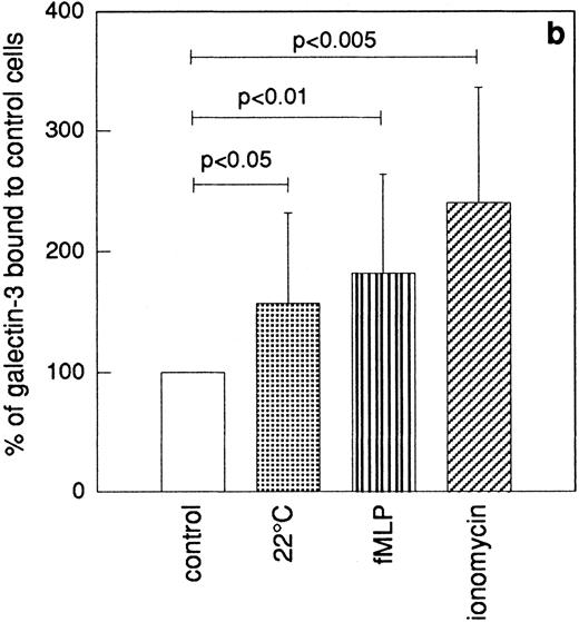 Fig. 6. Binding of galectin-3 to resting and in vitro primed neutrophils. In vitro–primed cells (see Materials and Methods) and resting peripheral blood cells (106) were paraformaldehyde fixed, incubated with FITC-labeled galectin-3, and analyzed by flow cytometry. Panel (a) shows a representative histogram while panel (b) depicts the relative amounts of bound galectin-3, calculated from the mean fluorescence intensity of each cell population and expressed in percent of the value obtained with control cells (□). The results are given as mean + SD, n = 8.