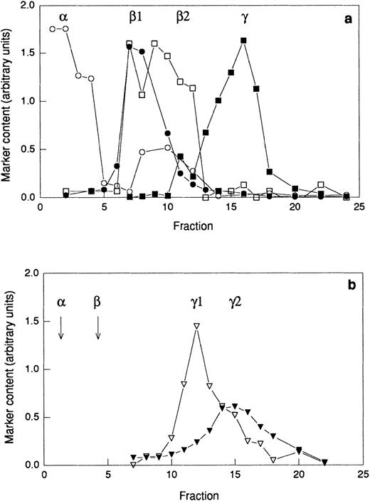 Fig. 7. Distribution of marker molecules in discontinuous Percoll gradients. A postnuclear supernatant was divided in two and centrifuged on either a three-step Percoll gradient (a) or a flotation gradient (b) and fractions of 1.5 mL were collected from the bottom of the centrifuge tube. The fractions from the three-step gradient were analyzed for myeloperoxidase (marker for azurophil granules; α; ○), vitamin B12–binding protein (marker for the specific granules; β1; •), gelatinase (marker for specific and gelatinase granules; β1 and β2; □), and total alkaline phosphatase (marker for secretory vesicles and plasma membrane; γ1 and γ2; ▪). The fractions from the flotation gradient were analyzed for latent alkaline phosphatase (marker for the secretory vesicles; γ1; ▿) and nonlatent alkaline phosphatase (marker for the plasma membrane; γ2; ▾). Abscissa, fraction number; ordinate, amount of marker (arbitrary units). Samples for electrophoresis studies were prepared by pooling fractions from the three-step gradient (a) as follows: α, 1-3; β1, 6-8; β2 10-12; and from the flotation gradient (b) as follows: γ1, 10-13; γ2 15-18.