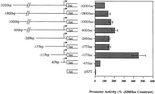 Fig. 4. Functional activity of pXP2-MBP (P2) luciferase constructs in the eosinophilic HL-60-C15 cell line. Promoter activities of additional 5′ deletion mutants of the MBP-pXP2 construct in HL-60-C15 cells. Fifteen micrograms of each MBP-pXP2 construct was transfected along with 10 μg of pBluescript II KS(−) as carrier DNA. Luciferase activities have been normalized for the amount of hGH produced by cotransfection with a control CMV-hGH expression vector. Corrected RLU for each construct are shown as the percent activity relative to the mean activity of the longest 3.2-kb MBP (P2) promoter construct. The mean ± SEM for three replicate experiments is shown.
