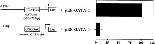 Fig. 9. Mutations of the GATA-binding sites diminish the MBP P2 promoter activity. Jurkat cells were cotransfected with either pXP2-MBP containing a wild-type GATA-binding site, or pXP2-MBP containing a mutated GATA-binding site, bp −76 to −71, along with 10 μg of pEF-hGATA-1. The error bar represents the SEM for three independent experiments. Luciferase activity was normalized to β-galactosidase activity produced from a cotransfected CMV-βGal plasmid.