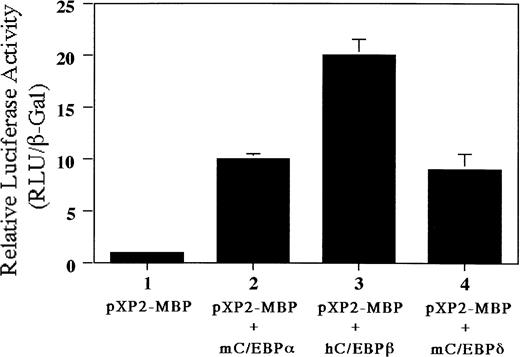 Fig. 10. Transactivation of the MBP P2 promoter by C/EBPα, C/EBPβ, and C/EBPδ. Ten micrograms of pXP2 or pXP2-MBP was transfected into Jurkat cells along with 10 μg of pEF-mC/EBPα, pEF-hC/EBPβ, or pEF-mC/EBPδ. pCMV-βGal was included as an internal control. Luciferase and β-galactosidase activities were assayed 24 hours later. Data are shown as the mean of three independent experiments (±SEM).