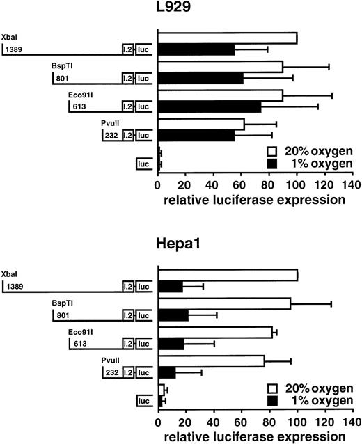Fig. 8. Hypoxic downregulation of Hif1a exon I.2 promoter activity. Exon I.2 upstream sequences of various length as indicated were placed in front of the firefly luciferase reporter gene. These constructs were transiently transfected into mouse L929 fibroblasts or Hepa1 hepatoma cells, followed by exposure to normoxia or hypoxia for 36 to 38 hours. Subsequently, luciferase expression was determined as described in Fig 7. All values were normalized to the respective normoxic luciferase activity obtained with the construct containing the longest 5′ region, which was arbitrarily defined as 100. Mean ± SD of three independent experiments are shown.