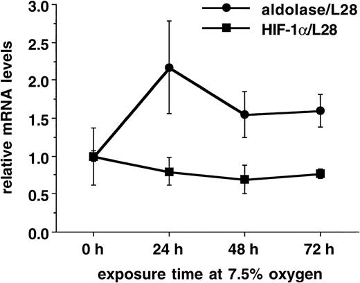 Fig. 9. Hypoxic reduction of HIF-1α mRNA levels in mouse liver. Three mice each were exposed to 7.5% O2 for 0 to 72 hours and liver RNA was analyzed by Northern blotting. Shown are the ratios of HIF-1α mRNA and aldolase A mRNA, respectively, and the ribosomal protein L28 mRNA (mean ± SD).