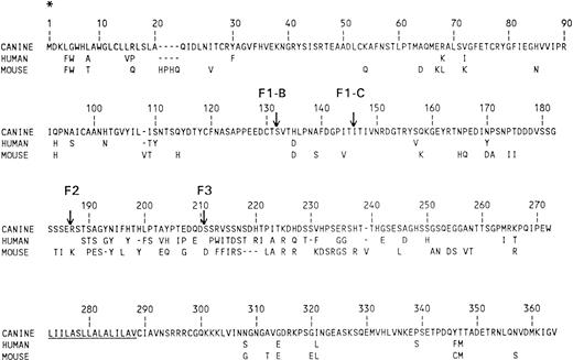 Fig. 1. Comparison of the protein sequences of CD44. The protein sequence determined from nucleotides of dog is shown on the top line and amino acid differences found in human and mouse (C3H) are presented in the next two lines. Dashes (—) are deletions and the putative transmembrane segment is underlined. Also indicated are the locations of the truncation variants used for peptide mapping with the 5′ end of all the peptides initiating at * and terminating 3′ as indicated (F1-B, F1-C, F2, F3).