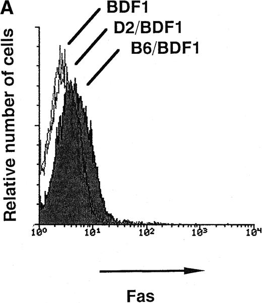 Fig. 2. (A) The expression level of Fas antigen on whole BM cells. The mice were injected with 5 × 107 of B6 spleen cells (B6/BDF1) or 1 × 108 of D2 cells (D2/BDF1). On day 14 after transfer, the mice were killed to remove their BM cells. Using flow cytometry, the expression level of Fas on these cells was examined. BDF1 represents the uninjected control mice. Four mice were examined in each group and the representative data were shown. (B) The expression level of Fas on hematopoietic progenitor cells. The expression level of c-kit and Fas on the BM cells obtained on day 14 after the transfer of B6 cells (B6/BDF1) was examined after the Lin− populations were gated. The numbers in the figure represent the percentage of c-kit+Fas+ cells in the Lin− cell populations. BDF1 represents the uninjected control mice. Twelve mice were examined in both groups and the representative data were shown.