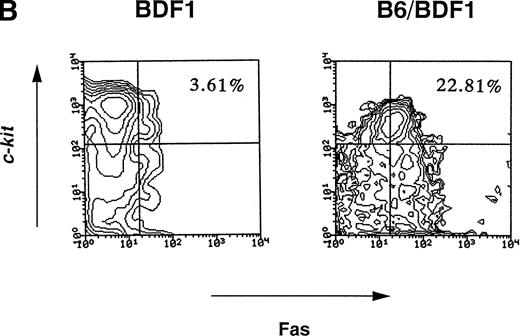 Fig. 2. (A) The expression level of Fas antigen on whole BM cells. The mice were injected with 5 × 107 of B6 spleen cells (B6/BDF1) or 1 × 108 of D2 cells (D2/BDF1). On day 14 after transfer, the mice were killed to remove their BM cells. Using flow cytometry, the expression level of Fas on these cells was examined. BDF1 represents the uninjected control mice. Four mice were examined in each group and the representative data were shown. (B) The expression level of Fas on hematopoietic progenitor cells. The expression level of c-kit and Fas on the BM cells obtained on day 14 after the transfer of B6 cells (B6/BDF1) was examined after the Lin− populations were gated. The numbers in the figure represent the percentage of c-kit+Fas+ cells in the Lin− cell populations. BDF1 represents the uninjected control mice. Twelve mice were examined in both groups and the representative data were shown.