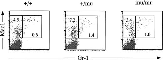 Fig. 5. FACS analysis of fetal liver cells at E12.5. Fetal liver cells are stained by anti–Gr-1 and anti-Mac1 antibodies. Numbers in rectangles indicate percentages of Mac1+Gr-1− cells and Mac1+Gr-1+ cells.