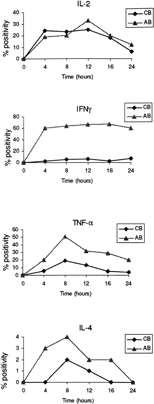 Fig. 1. Kinetics of cytokine synthesis in cord and adult blood. Cord and adult mononuclear cells were activated with PMA/ionomycin and IL-2, IL-4, IFN-γ, and TNF-α expression was measured every 4 hours for 24 hours as described in Materials and Methods. The results are expressed as a percentage of the lymphocyte gated cells (see Fig2).