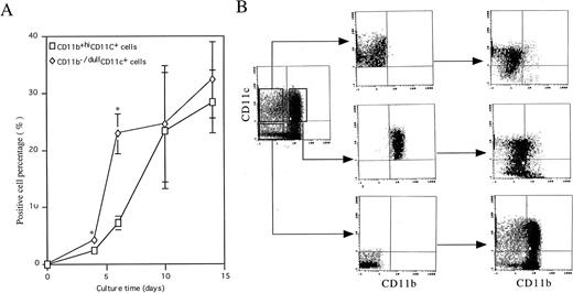 Fig. 1. Generation of DC precursors and DCs from murine Lin−c-kit+ HPCs stimulated with GM-CSF + TNF-α. (A) Murine Lin−c-kit+ HPCs were cultured in the presence of GM-CSF + SCF + TNF-α for 6 to 7 days and then in the presence of GM-CSF + TNF-α for another 7 days. At the indicated timepoint, independent aliquots of cells were recovered and processed for analyses of CD11b and CD11c expression by using double-color immunostaining with anti–CD11b-FITC and anti–CD11c-PE. The data represent mean value ± SD of percentage of the two subpopulations observed in more than five experiments. *P < .05 significance as compared with CD11b−/dullCD11c+ cells at the indicated timepoint. (B) The cells were routinely sorted from cultures of GM-CSF + SCF + TNF-α–stimulated murine Lin−c-kit+ HPCs at day 6 into CD11b−/dullCD11c+, CD11b+hiCD11c+, and CD11b−CD11c− cell populations using EPICS ELITE cell sorter (middle panel). The sorted cells were cultured again in the presence of GM-CSF + TNF-α for an additional 5 to 8 days and reanalyzed for the expression of CD11b and CD11c by double-color immune staining (right panel). Quads were set up on the isotype-matched control dot plot and the results are representative of more than 15 experiments.