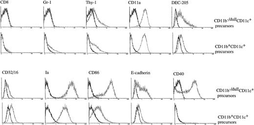 Fig. 2. The CD11b−/dullCD11c+ and CD11b+hiCD11c+ DC precursors display a different immunophenotype. Murine Lin−c-kit+ HPCs were cultured in presence of GM-CSF + SCF + TNF-α for 6 days. The phenotype of the CD11b−/dullCD11c+ and CD11b+hiCD11c+ precursors was determined by three-color immune staining using uncoupled test MoAbs shown by PE-conjugated anti-rat Ig and biotinylated anti-CD11c MoAb shown by CY-conjugated streptavidin, and the third color was shown by FITC-conjugated anti-CD11b MoAb. In some experiments FITC-conjugated anti-CD11b and PE-conjugated anti-CD11c MoAbs were used, while the test biotinylated MoAbs were shown by CY-conjugated streptavidin. In some experiments, uncoupled CD11b and biotinylated CD11c were shown by PE-conjugated anti-rat IgG and CY-conjugated streptavidin and finally FITC-conjugated test MoAbs. Histograms shown in the figures are gated on CD11b−/dullCD11c+ and CD11b+hiCD11c+ DC precursors. Solid and dotted lines indicate the immunofluoresecence intensity of cells stained with a control and the test antibodies, respectively. Representative results from three or more independent experiments are shown.