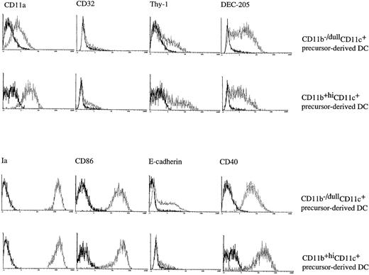 Fig. 6. The day 6 DC precursors differentiate into cells with typical DC markers. CD11b−/dullCD11c+and CD11b+hiCD11c+ precursors were sorted from murine Lin−c-kit+ HPC cultures stimulated with GM-CSF + SCF + TNF-α for 6 days and were cultured in the presence of GMCSF + TNF-α for an additional 5 to 8 days. At days 12 to 14, the phenotype of the CD11b−/dullCD11c+ DC-like cells derived from either CD11b−/dullCD11c+ or CD11b+hiCD11c+ precursors was determined using three-color analyses as described in the legend to Fig 2.