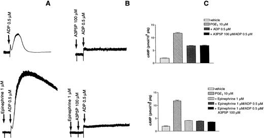Fig. 5. Effects of epinephrine on ADP-induced platelet aggregation. (A) Aggregation was induced by 0.5 μmol/L ADP alone (top) or the presence of 1 μmol/L epinephrine (bottom). (B) Aggregation induced by 0.5 μmol/L ADP was inhibited by 100 μmol/L A3P5P in the absence (top) or the presence (bottom) of 1 μmol/L epinephrine. (C) Effects of A3P5P on cAMP levels in the absence (top) or the presence (bottom) of 1 μmol/L epinephrine.