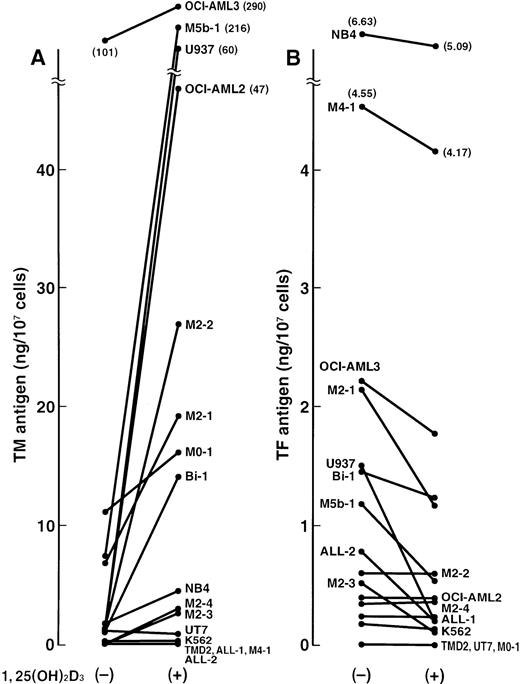 Fig. 1. Effects of 1,25(OH)2D3 on total TM and TF antigen in several leukemic cell lines and PB cells freshly isolated from patients with leukemia. Leukemic cells were incubated with 1,25(OH)2D3 (0.1 μmol/L) for 24 hours. Total TM (A) and TF (B) antigen levels are shown on ordinates. Data represent means of duplicate measurements.