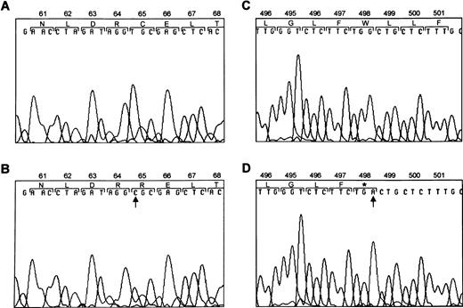 Fig. 6. Mutations within GPIbα. DNA sequence analysis of GPIbα from a normal individual (A and C) and from the patients (B and D). Sequence analysis of PCR-amplified DNA showed a T → C substitution at nucleotide 777 (B) and a G → A substitution at nucleotide 2078 (D). Amino acids are numbered above.
