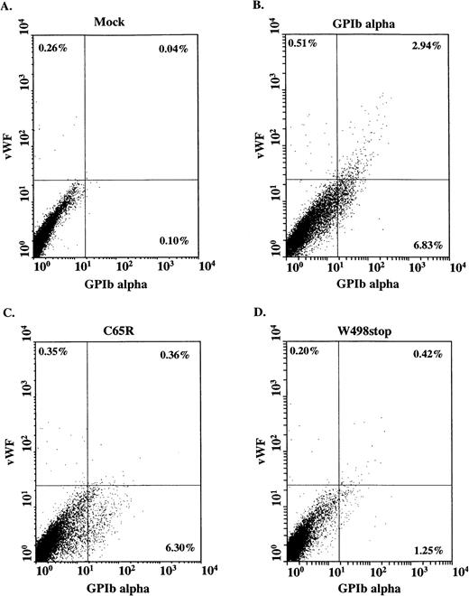 Fig. 7. Analysis of vWF binding in Chinese hamster ovary (CHO) βIX cells expressing GPIbα, and the GPIbαC65 → R and GPIbαTrp498 → stop constructs. The binding of vWF in the presence of botrocetin was assessed in CHO βIX cells that were mock-transfected (A), in CHO βIX cells transiently transfected with the wild-type (WT) GPIbα (B), and in CHO βIX cells transfected with the constructs GPIbαCys65 → Arg (C) and GPIbαTrp498 → stop (D). The x-axis is fluorescence detected with an anti-GPIbα MoAb. The y-axis is fluorescence detected with a polyclonal anti-vWF antibody. A: Neither GPIbα expression or binding of vWF is detected in the mock-transfected cells. B: In cells transfected with the WT GPIbα, GPIbα is readily detectable on the cell surface (9.77% of cells) and binds vWF (2.94% of cells). C: Whereas the GPIbαCys65 → Arg construct results in a significant increase in fluorescence when detected with the anti-GPIbα antibody (6.66%) of cells, there is no binding of vWF. D: In the cells transiently transfected with the GPIbαTrp498→ stop construct, there is no significant increase in surface fluorescence when detected with the anti-GPIbα antibody, and there is no binding of vWF.