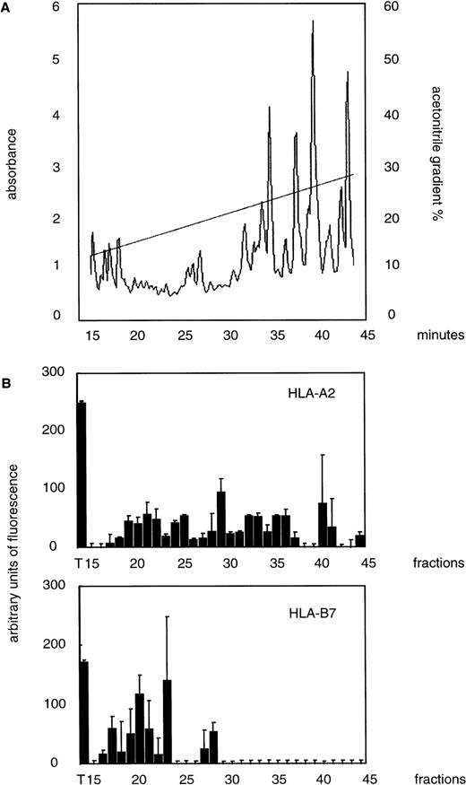 Fig. 1. Binding of fractionated eluted leukemia-associated peptides to HLA-A2 and -B7 molecules. (A) Acid-eluted peptides were fractionated by HPLC and detected by absorbance at 214 nm. (B) Individual fractions were assayed for their ability to promote HLA-A2 and -B7 assembly. The influenza virus matrix peptide, M58-66, and an endogenous peptide, (APRTVALTAL), are HLA-A2 and -B7 ligands and were used as positive controls (T). The values obtained with the negative control peptide NP 383-391 (nonspecific binding) have been substracted from the results shown. Means of duplicates and standard deviations are given.