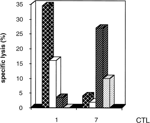 Fig. 4. HLA restriction of the CTL lines. Cytolysis of the T2 HLA-A2–deficient line and HLA-A-1/3; -B7/8 EBV-transformed target cells unpulsed or pulsed with AML peptides eluted from the blasts of patient HAR was assayed. Representative results are shown for CTL 1 and 7 for an E:T ratio of 4:1. (▩), T2 HLA-A2 + AML HAR peptides; (□), T2 HLA-A2; (), EBV HLA-A1/3; B7/8 + AML HAR peptides; (▧), EBV HLA-A1/3; -B7/8.