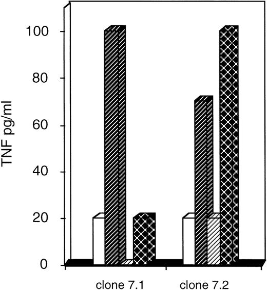 Fig. 5. Recognition of leukemic blasts of patient HAR. Secretion of TNF by clones was quantified (as described in Materials and Methods) after stimulation by the PBMC of the donor pulsed with AML peptides eluted from patient HAR () or patient LED (□) and after stimulation by leukemic blasts from patient HAR (▩) or patient LED (▨). Representative results are shown for the 7.1 and 7.2 clones.
