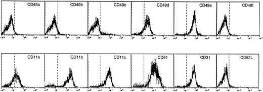 Fig. 3. Flow cytometric analysis of adhesion molecules expressed by DC. Cells were labeled with the designed MoAb and then with FITC-labeled goat anti-mouse Ig.