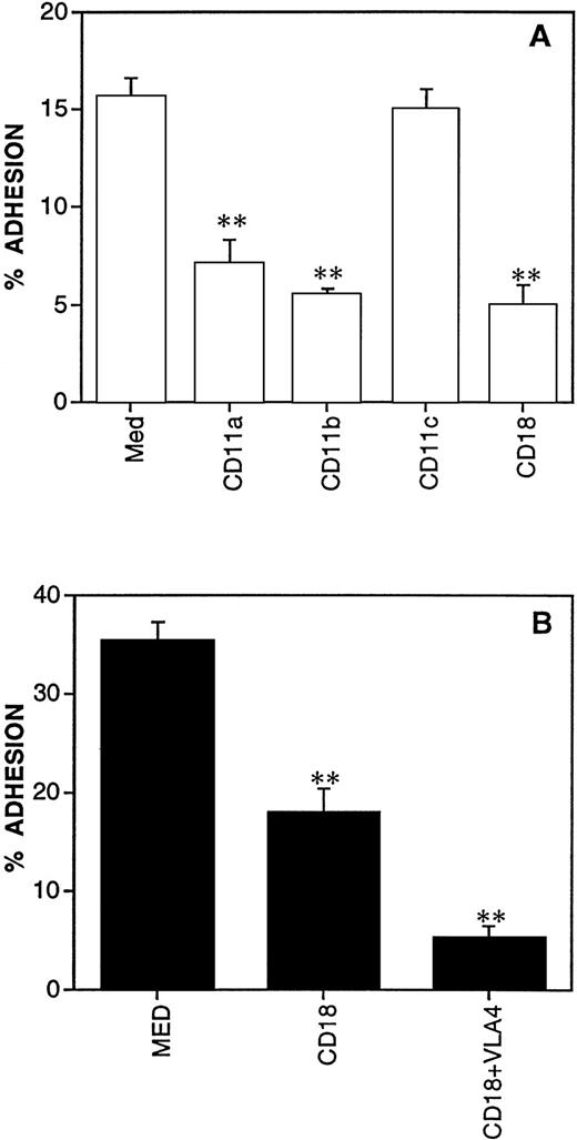 Fig. 4. Molecules involved in the adhesion of DC to resting (A) and TNF-activated EC (B). 51Cr-labeled DC were preincubated for 20 minutes at room temperature with the indicated MoAb; thereafter DC were coincubated with the EC monolayers for 1 hour at 37°C. Results are expressed as percent of adherent cells, mean ± SEM of three replicates. **Statistically significant at P < .01 versus medium control.