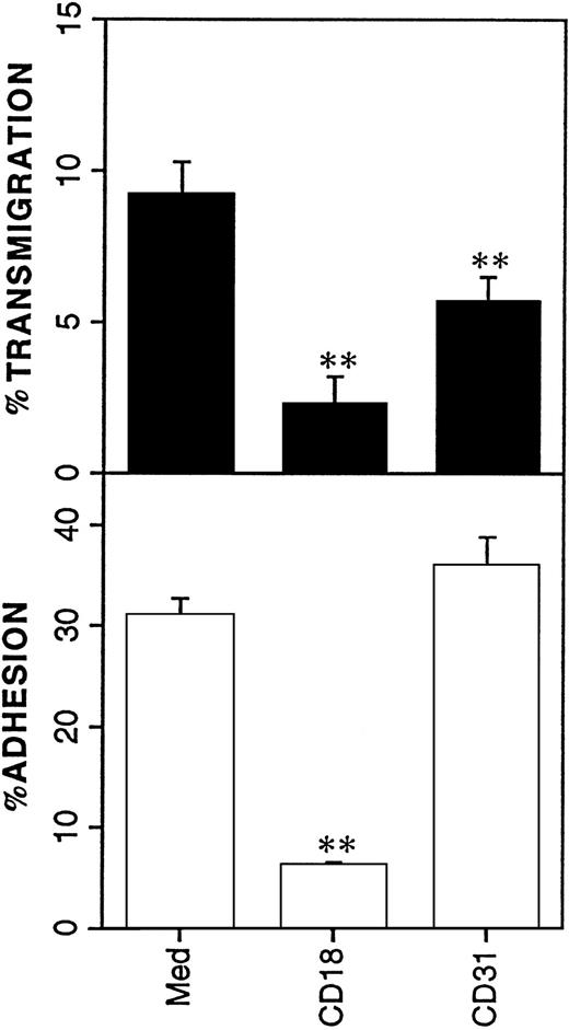 Fig. 5. Molecules involved in the transmigration of DC across resting EC. A porous polycarbonate filter was coated with a monolayer of EC and placed in modified Boyden chamber. 51Cr-labeled DC were preincubated for 20 minutes at room temperature with the indicated MoAb and then seeded in the upper compartment and coincubated with EC for 1 hour at 37°C. Results are expressed as percent of adherent and transmigrated cells (see Materials and Methods), mean ± SEM of three replicates. **Statistically significant at P < .01 versus medium control.