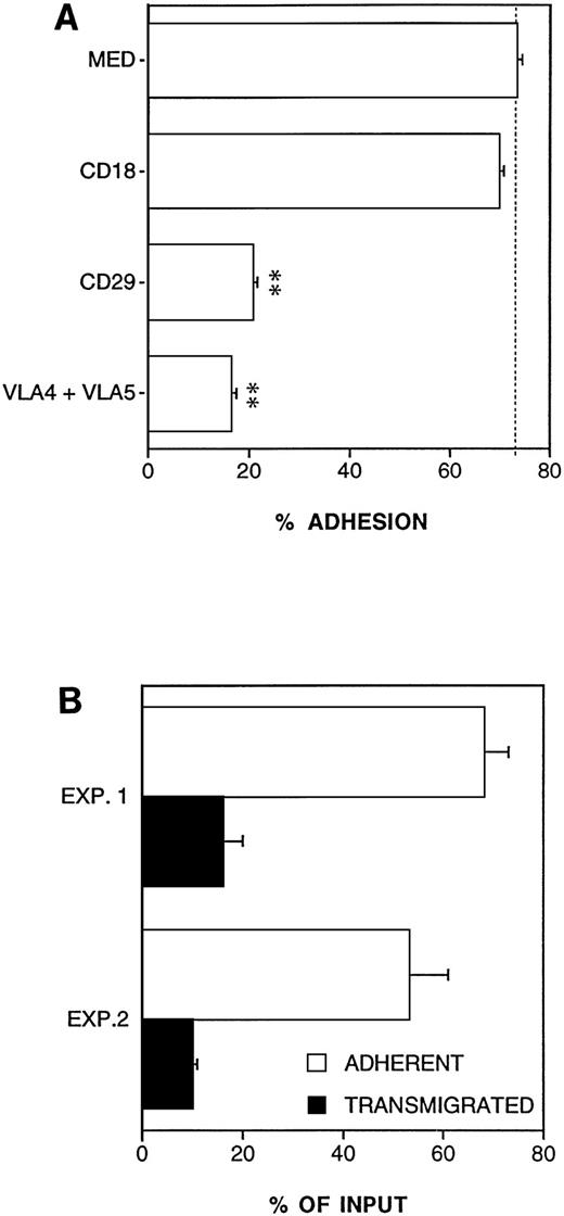 Fig. 6. Adhesion to ECM and reverse transmigration of DC. (A) Molecules involved in the adhesion of DC to EC-derived matrix (ECM). ECM were prepared by culturing a monolayer of EC on polycarbonate filters for at least 5 days; EC were then stripped by an NH4OH + Triton solution for 30 seconds. Results are expressed as percent of adherent cells, mean ± SEM of three replicates. **Statistically significant at P < .01 versus medium control. (B) Reverse transmigration of DC. A double-filter system was used. The upper filter was coated with an ECM and the lower filter was coated with a monolayer of EC placed upside down. 51Cr-labeled DC were seeded in the upper compartment of the chamber and coincubated with EC monolayer for 3 hours at 37°C. Results are expressed as percent of adherent and transmigrated cells (see Materials and Methods), mean ± SEM of three replicates. Two independent experiments are shown.
