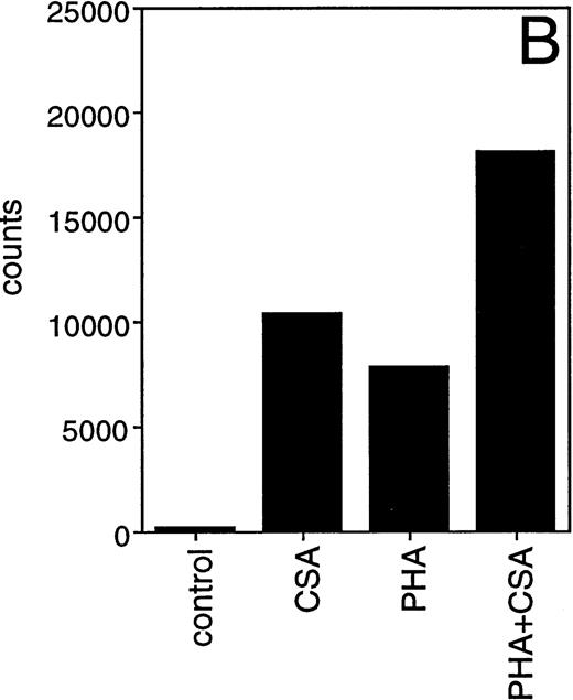 Fig. 2. Induction of IL-1β mRNA in human PBMC exposed to CSA. (A) Total RNA isolated from PBMC cultured in the presence of CSA (1 mg/mL), PHA (1 μg/mL), or both, was subjected to Northern blot hybridization using IL-1β cDNA as a probe. The positions of the 28S and 18S ribosomal RNAs are indicated. Relative amounts of RNA loaded in each lane are visualized in the lower panel by methylene blue staining. (B) The intensities of the IL-1β hybridization signals shown in (A) were measured using an InstantImager analyzer, and the results were plotted as a histogram to highlight the relative IL-1β mRNA levels.
