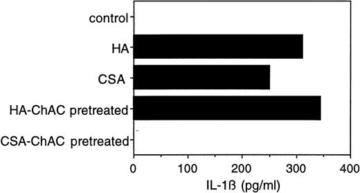 Fig. 3. Effect of chondroitinase AC digestion on the IL-1β–inducing activity of CSA. CSA (10 mg/mL) or HA (50 μg/mL) was incubated with chondroitinase AC (100 mU/mL) in RPMI (without fetal calf serum) at 37°C for 2 hours. The reaction mixtures were then postincubated at 65°C for 10 minutes to inactivate the enzyme. PBMC were cultured in the presence of untreated and chondroitinase AC-treated CSA (1 mg/mL) or HA (5 μg/mL) for 24 hours and the level of IL-1β in the medium was determined as in Fig 1.